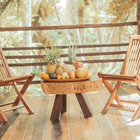 Hotel Buenavista Bacalar Jungle Experience エクステリア 写真