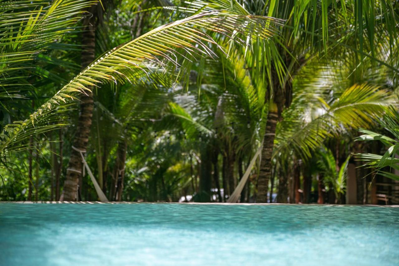 Hotel Buenavista Bacalar Jungle Experience エクステリア 写真