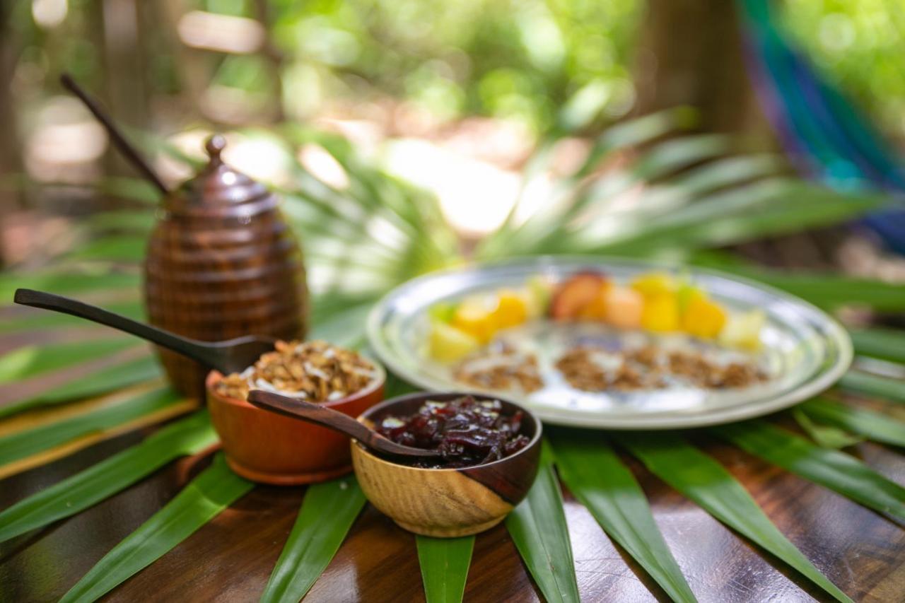 Hotel Buenavista Bacalar Jungle Experience エクステリア 写真