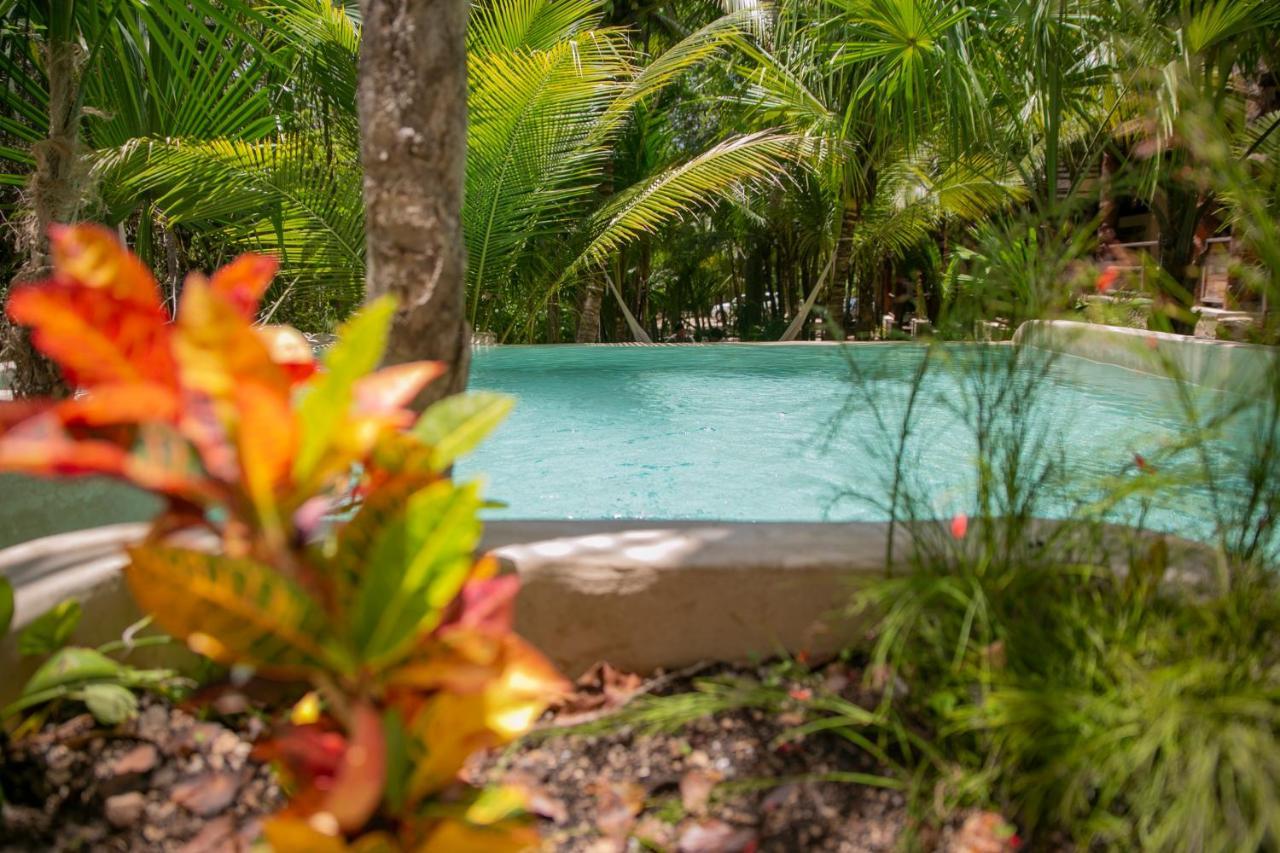 Hotel Buenavista Bacalar Jungle Experience エクステリア 写真