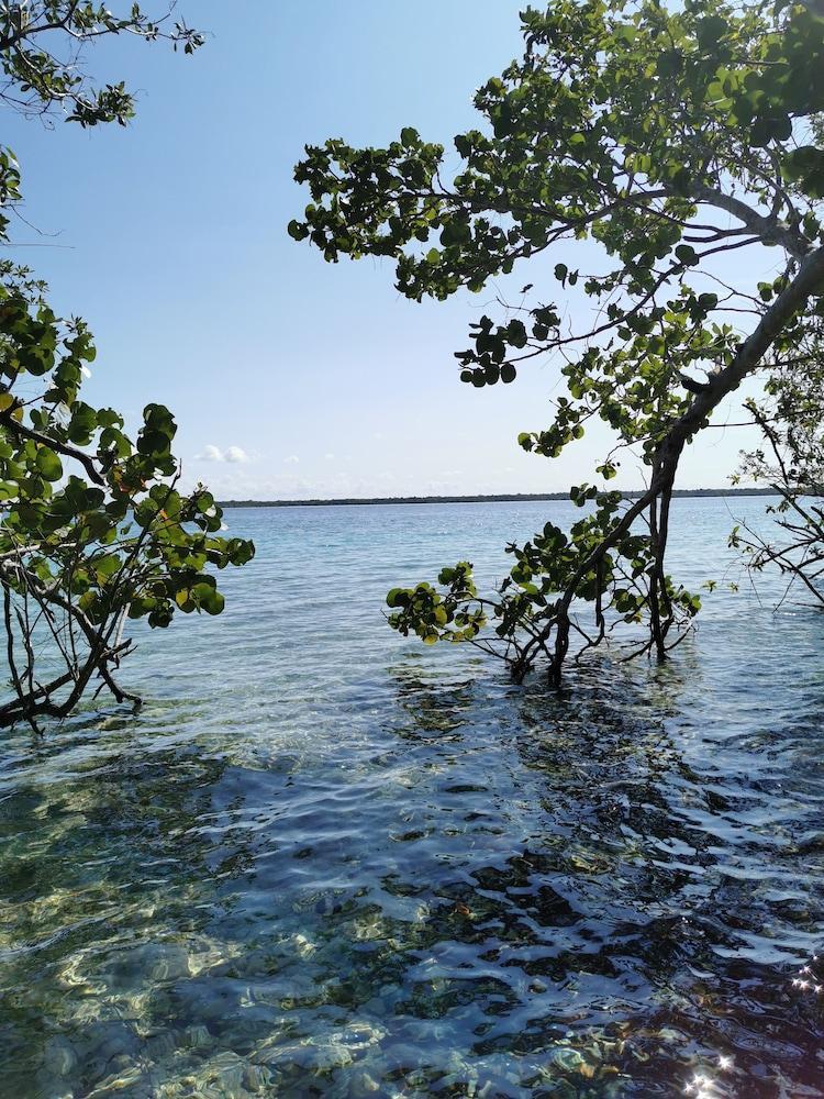 Hotel Buenavista Bacalar Jungle Experience エクステリア 写真