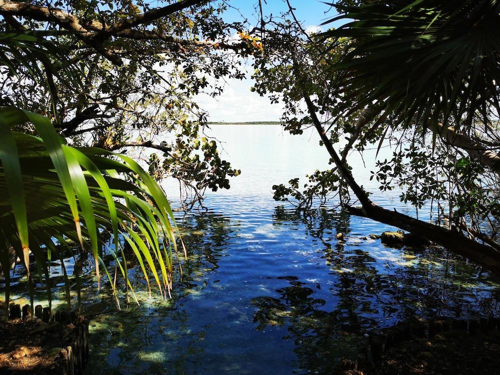 Hotel Buenavista Bacalar Jungle Experience エクステリア 写真