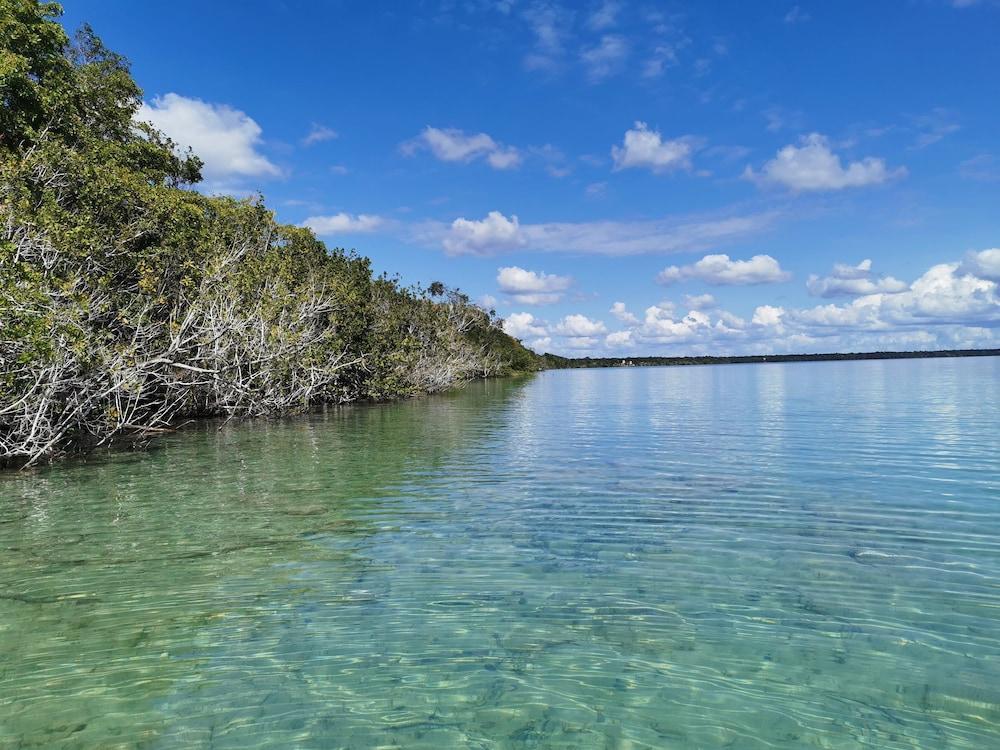 Hotel Buenavista Bacalar Jungle Experience エクステリア 写真